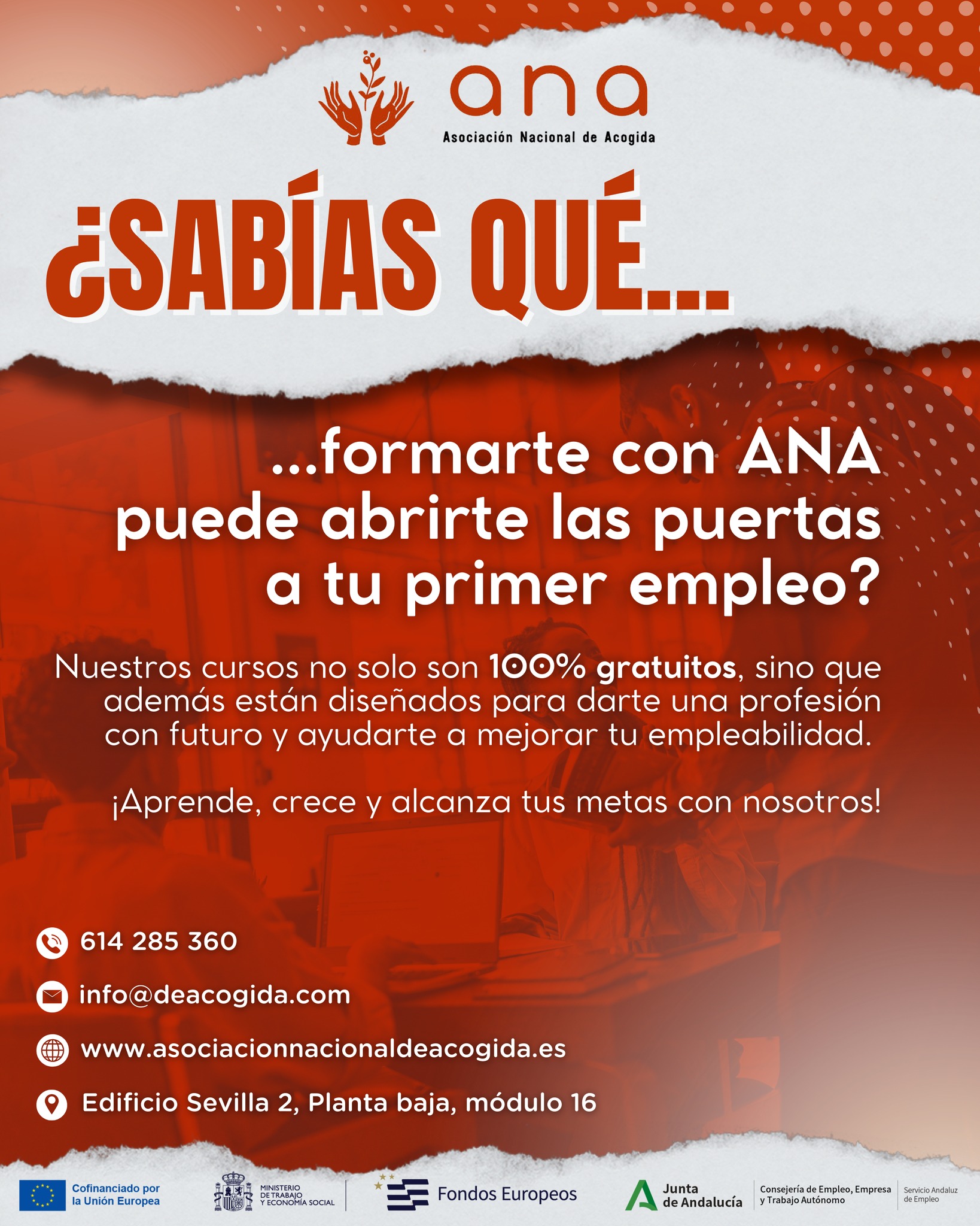 💡 ¿𝗦𝗮𝗯í𝗮𝘀 𝗾𝘂𝗲… 𝗳𝗼𝗿𝗺𝗮𝗿𝘁𝗲 𝗰𝗼𝗻 𝗔𝗡𝗔 𝗽𝘂𝗲𝗱𝗲 𝘀𝗲𝗿 𝗲𝗹 𝗽𝗿𝗶𝗺𝗲𝗿 𝗽𝗮𝘀𝗼 𝗽𝗮𝗿𝗮 𝗰𝗼𝗻𝘀𝗲𝗴𝘂𝗶𝗿 𝘁𝘂 𝗳𝘂𝘁𝘂𝗿𝗼 𝗹𝗮𝗯𝗼𝗿𝗮𝗹? 🚀
En 𝗔𝗡𝗔 creemos que la formación es la llave que abre las puertas del empleo 🔑. Por eso, ofrecemos 𝗰𝘂𝗿𝘀𝗼𝘀 𝘁𝗼𝘁𝗮𝗹𝗺𝗲𝗻𝘁𝗲 𝗴𝗿𝗮𝘁𝘂𝗶𝘁𝗼𝘀 diseñados para 𝗷𝗼́𝘃𝗲𝗻𝗲𝘀 𝗲𝗻𝘁𝗿𝗲 𝟭𝟴 𝘆 𝟮𝟵 𝗮ñ𝗼𝘀 que quieren aprender un oficio, mejorar sus competencias y tener más oportunidades en el mercado laboral. 💼
Además, al completar el itinerario formativo, 𝗿𝗲𝗰𝗶𝗯𝗶𝗿𝗮́𝘀 𝟱𝟮𝟴 € (-2 % IRPF) como apoyo económico durante tu proceso de aprendizaje. 💶
📞 𝘾𝙊𝙉𝙏𝘼𝘾𝙏𝘼 𝘾𝙊𝙉 𝙉𝙊𝙎𝙊𝙏𝙍𝙊𝙎 𝙔 𝙏𝙀 𝙄𝙉𝙁𝙊𝙍𝙈𝘼𝙈𝙊𝙎:
📍 Edificio Sevilla 2, Planta baja, módulo 16 – Sevilla
🕗 De lunes a viernes de 8:00 a 15:00
📞 614 285 360 | ✉️ info@deacogida.com
🌐 www.asociacionnacionaldeacogida.es
𝘕𝘰 𝘴𝘰𝘭𝘰 𝘵𝘦 𝘧𝘰𝘳𝘮𝘢𝘴… ¡𝘵𝘢𝘮𝘣𝘪𝘦́𝘯 𝘵𝘦 𝘪𝘮𝑝𝘶𝘭𝘴𝘢𝘴 𝘩𝘢𝘤𝘪𝘢 𝘵𝘶 𝘧𝘶𝘵𝘶𝘳𝘰 𝑝𝘳𝘰𝘧𝘦𝘴𝘪𝘰𝘯𝘢𝘭! 🌟
#ANA #AsociaciónNacionalDeAcogida #AnaAcogida #Sevilla #Juventud #Jóvenes #Oportunidades #Formación #OrientaciónLaboral #JuventudConFuturo #InserciónLaboral #TransformandoVidas #GarantíaJuvenil #CursoCamarero #CorteDeJamón #Hostelería #Restauración #CursoTractorista #FormaciónAgraria #CursoMozoDeAlamcén #Carretillero