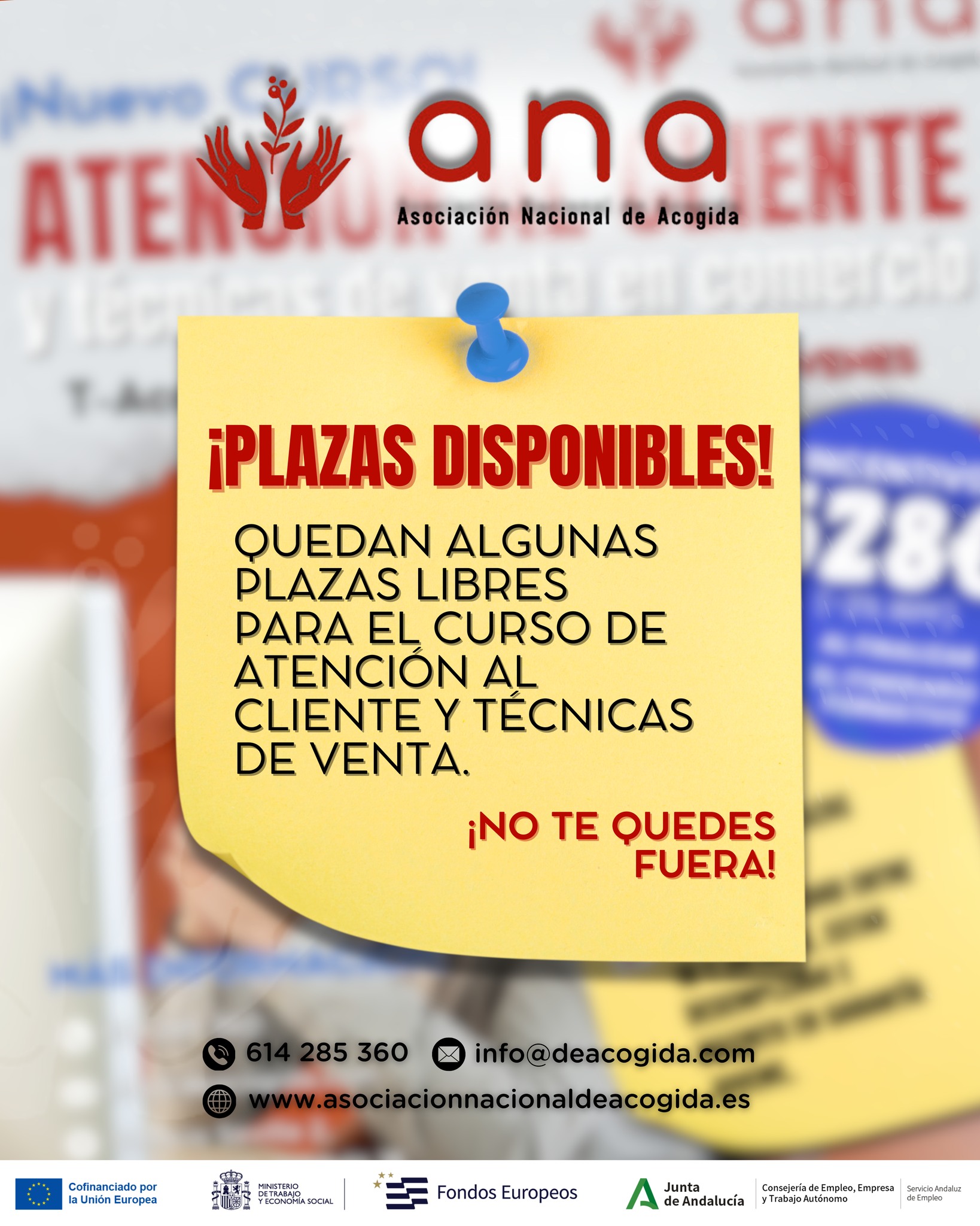 🚨 ¡𝗔𝘂́𝗻 𝗲𝘀𝘁𝗮́𝘀 𝗮 𝘁𝗶𝗲𝗺𝗽𝗼!
Todavía quedan 𝗽𝗹𝗮𝘇𝗮𝘀 𝗱𝗶𝘀𝗽𝗼𝗻𝗶𝗯𝗹𝗲𝘀 para el 𝗰𝘂𝗿𝘀𝗼 𝗱𝗲 “𝗔𝘁𝗲𝗻𝗰𝗶𝗼́𝗻 𝗮𝗹 𝗖𝗹𝗶𝗲𝗻𝘁𝗲 𝘆 𝗧𝗲́𝗰𝗻𝗶𝗰𝗮𝘀 𝗱𝗲 𝗩𝗲𝗻𝘁𝗮” en 𝗔𝗡𝗔.
Si quieres mejorar tus habilidades, aprender a conectar mejor con los clientes y aumentar tus oportunidades laborales, este curso es para ti. 💼✨
⏳ No dejes pasar esta oportunidad.
𝗖𝗼𝗻𝘁𝗮𝗰𝘁𝗮 𝗰𝗼𝗻 𝗻𝗼𝘀𝗼𝘁𝗿𝗼𝘀 𝘆 𝘁𝗲 𝗶𝗻𝗳𝗼𝗿𝗺𝗮𝗺𝗼𝘀 𝘀𝗶𝗻 𝗰𝗼𝗺𝗽𝗿𝗼𝗺𝗶𝘀𝗼.
📍 Edificio Sevilla 2, Planta baja, módulo 16 – Sevilla
🕗 De lunes a viernes de 8:00 a 15:00
📞 614 285 360 | ✉️ info@deacogida.com
¿𝘈 𝘲𝘶𝘦́ 𝘦𝘴𝑝𝘦𝘳𝘢𝘴? ¡𝘙𝘦𝘴𝘦𝘳𝘷𝘢 𝘵𝘶 𝑝𝘭𝘢𝘻𝘢 𝘢𝘩𝘰𝘳𝘢!
#Formación #AtenciónAlCliente #TécnicasDeVenta #Cursos #Oportunidades
